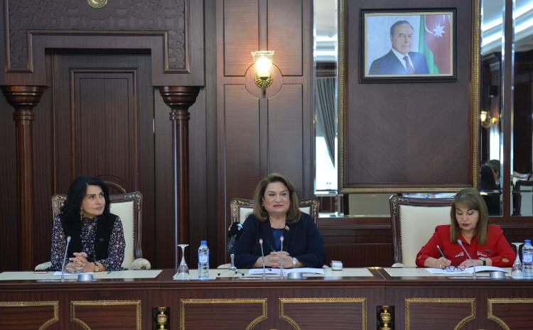 Ailə, qadın və uşaq məsələləri komitəsində görüş 