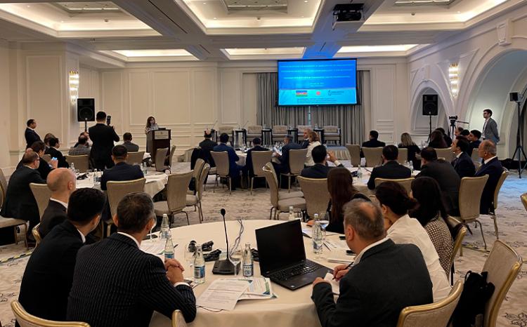 "Elektron səhiyyə və tibbi iddiaların idarə edilməsi sisteminin inkişafı üzrə texniki yardım" adlı məlumatlandırıcı seminar keçirilib 