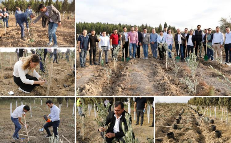 "Azərbaycan Dəmir Yolları" QSC ağacəkmə aksiyası keçirib 