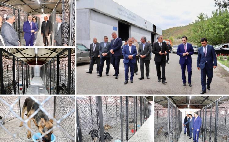 İsmayıllıda sahibsiz heyvanlar üçün nəzərdə tutulmuş sığınacağın tikintisi başa çatıb 
