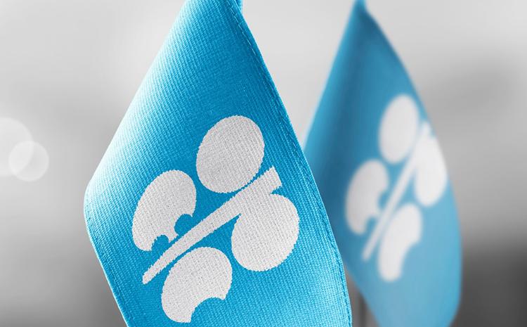 Energy Minister will attend 8th OPEC International Seminar 