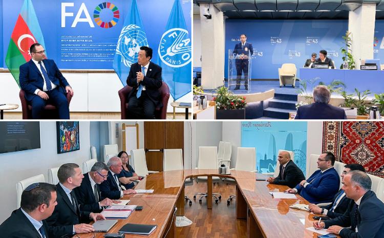 Nazir Məcnun Məmmədov FAO-nun 43-cü sessiyasında çıxış edib 