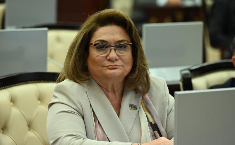 Milli Məclisin deputatı Türkiyə Respublikasına səfər edəcək 