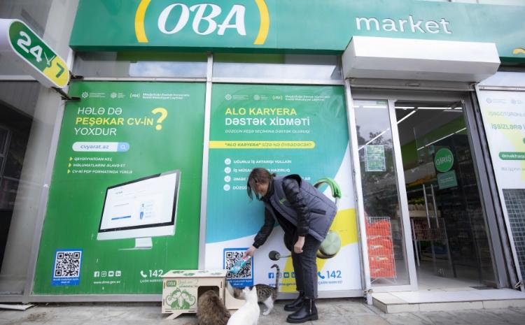 "OBA" sahibsiz küçə heyvanları üçün layihə başlatdı 