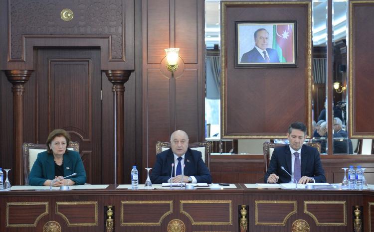 Milli Məclisin Əmək və sosial siyasət komitəsinin iclası keçirilib 