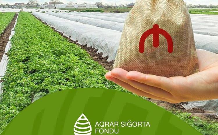 Aqrar Sığorta Fondu zərər ödənişlərinə başladı - RƏSMİ AÇIQLAMA