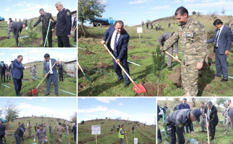 Zəfər günü ilə əlaqədar Göygöl rayonunda ağacəkmə aksiyası təşkil olunub 