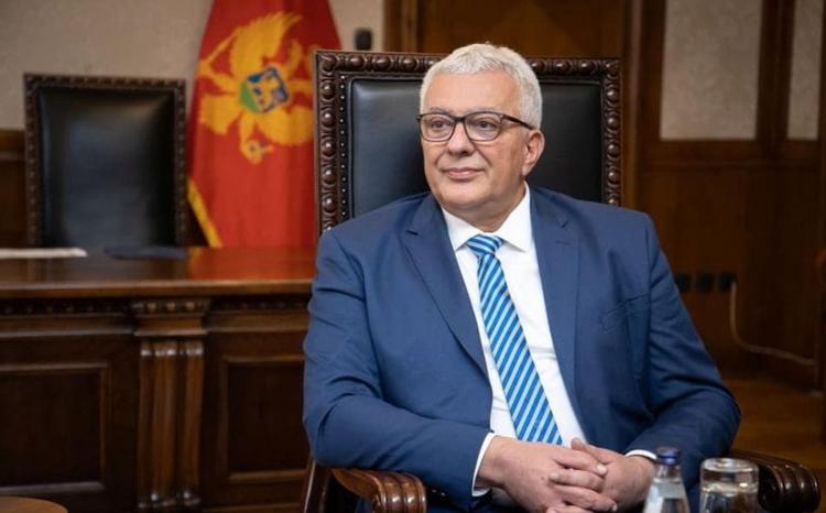 Speaker of Montenegrin Parliament Sends Sahiba Gafarova a Letter of Condolences over the Plane Crash 