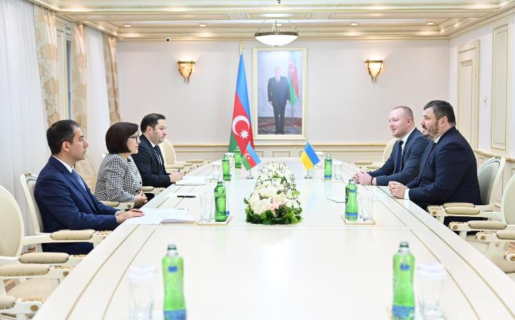 Speaker of Milli Majlis Sahiba Gafarova Meets with Ambassador of Ukraine in Azerbaijan 