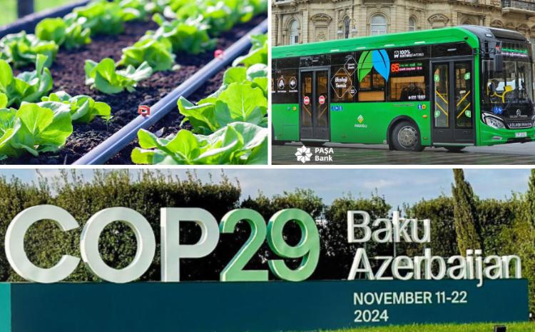 Dayanıqlı, ekoloji təhlükəsiz və “yaşıl” zirvələrə doğru - birlikdə! 