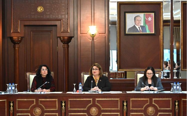 Milli Məclisin Ailə, qadın və uşaq məsələləri komitəsinin iclası keçirilib 