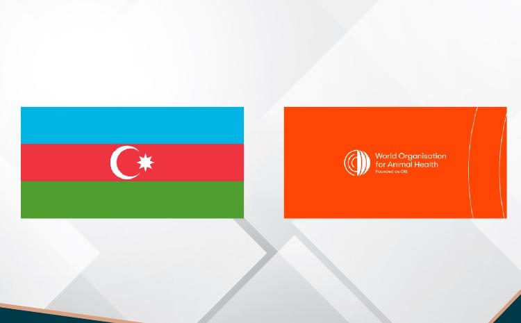 Azərbaycan ÜHST-nin İdarəetməyə Nəzarət Komitəsinə üzv seçilib 