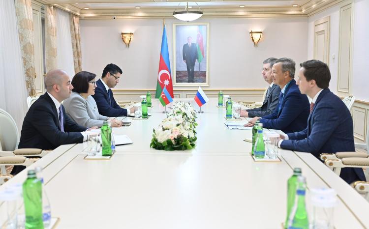 Sahiba Gafarova Meets with First Deputy Speaker of Federation Council of Russian Federation 