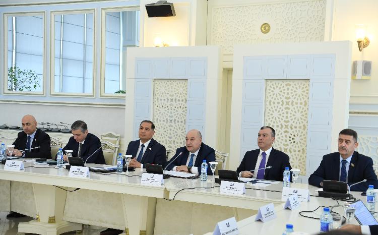 Milli Məclisdə 2025-ci il üçün DSMF-in, İSF-in büdcə layihələri və büdcə zərfinə daxil olan digər sənədlər müzakirə olunub 