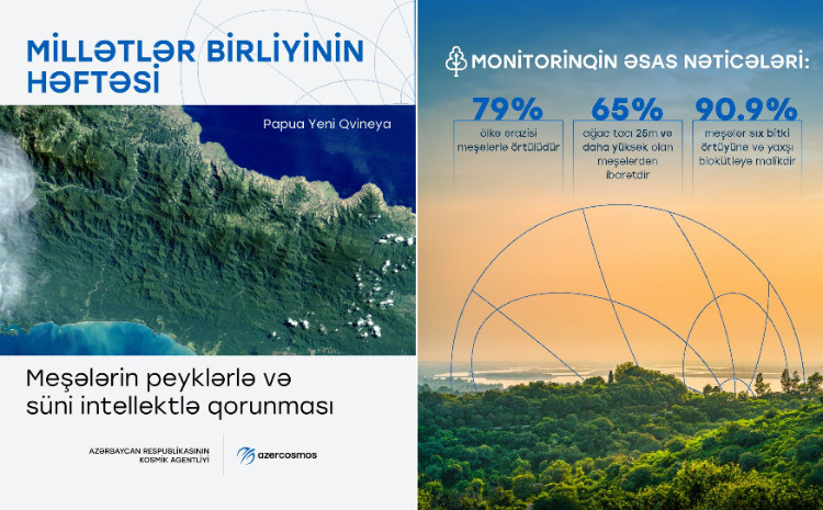 Azərkosmos Papua Yeni Qvineyanı əhatə edən meşələrin monitorinqini həyata keçirib 