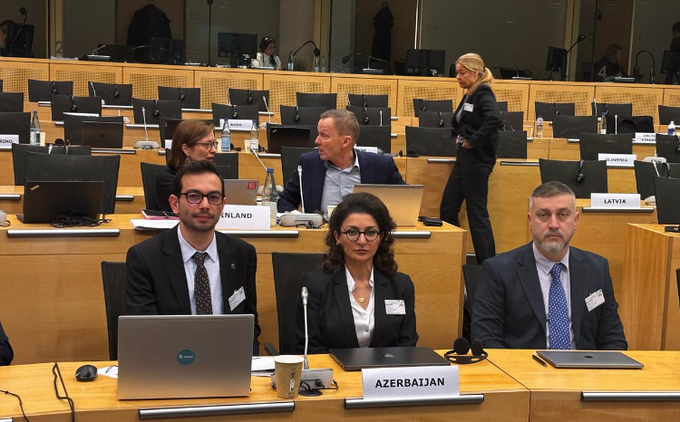 AMADA representative elected as Gender Equality Rapporteur at CAHAMA 