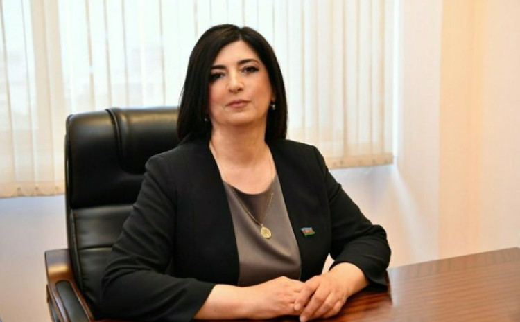 Azərbaycanın inkişafına qarşı çıxanlar: Radikal müxalifət kimlərə xidmət edir? 