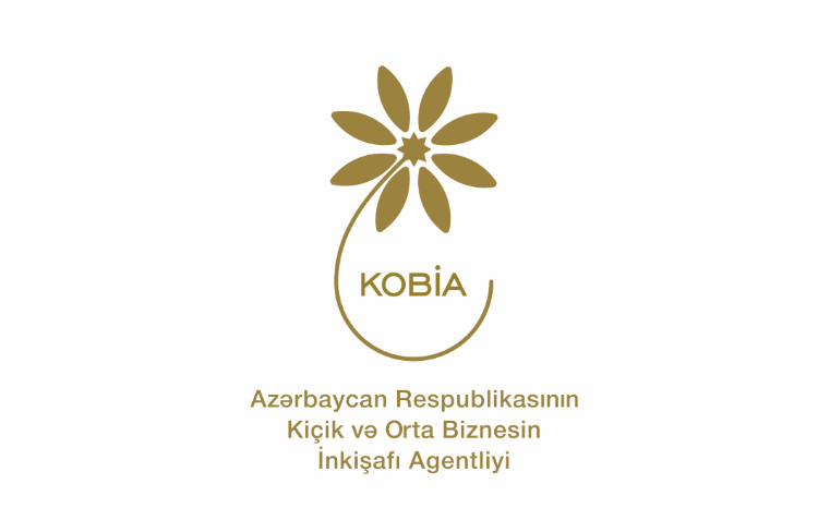 Dövlət dəstəyi ilə qadın sahibkarların iqtisadiyyatda rolu artır 