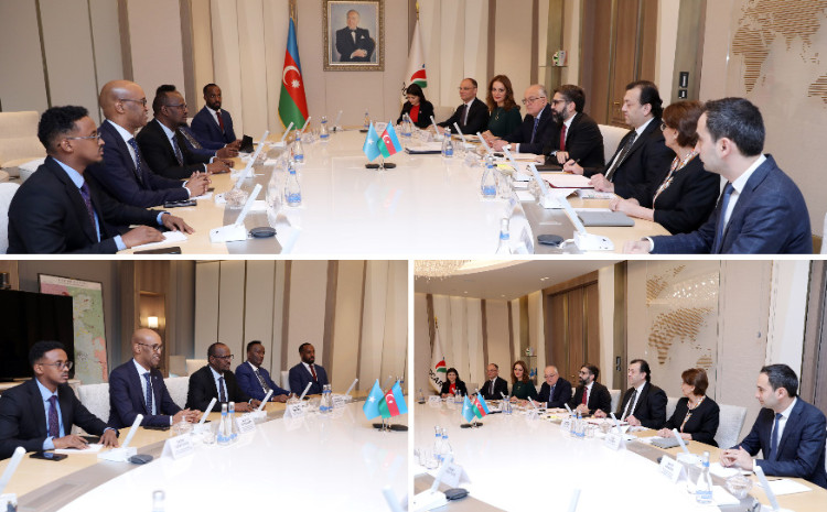 SOCAR-ın prezidenti Somalinin neft və mineral sərvətlər naziri ilə görüşüb 