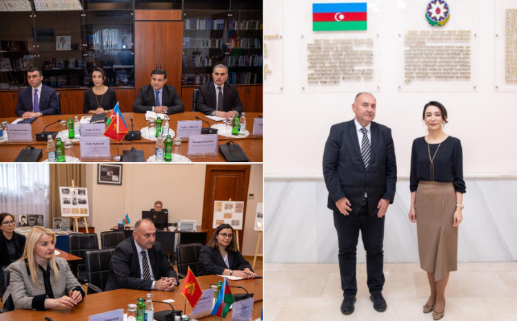 Ombudsman Səbinə Əliyeva Monteneqro Ombudsmanı ilə görüşüb 