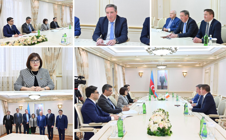 Speaker of Milli Majlis Sahiba Gafarova meets with Members of Ireland-Azerbaijan Inter-Parliamentary Friendship Group 