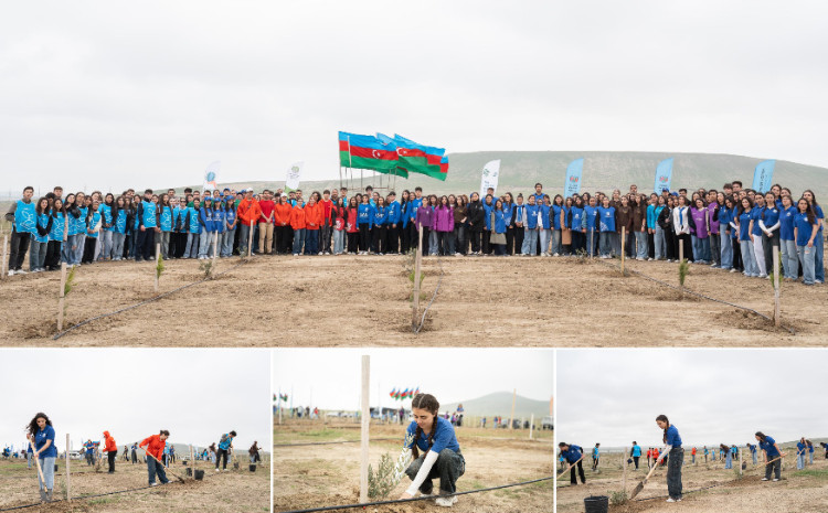 BDU könüllüləri ağacəkmə aksiyasında iştirak ediblər 