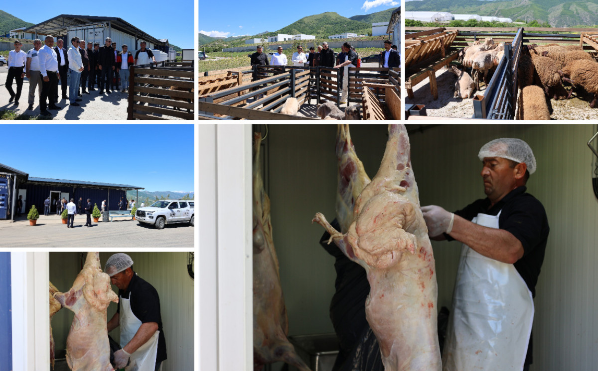 Laçında Qurban kəsimi 