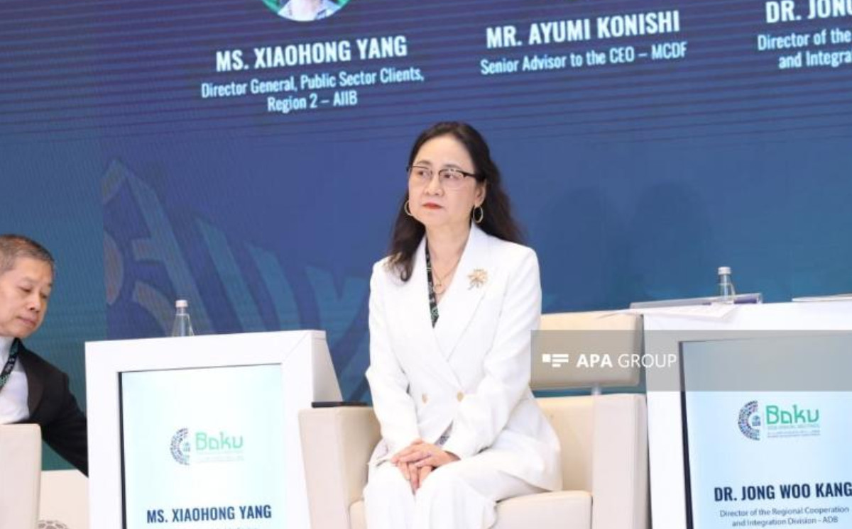 AİİB: "Orta Dəhliz üçün növbəti 3 ildə 28 mlrd. dollara ehtiyac olacaq" 