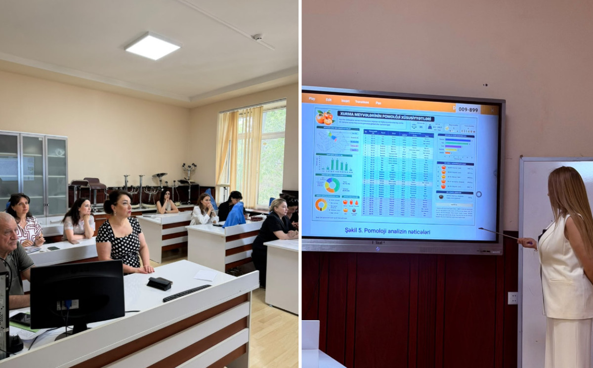 BSU Conducts Research on the Biochemical and Molecular Genetic Characteristics of Persimmon Genotypes 