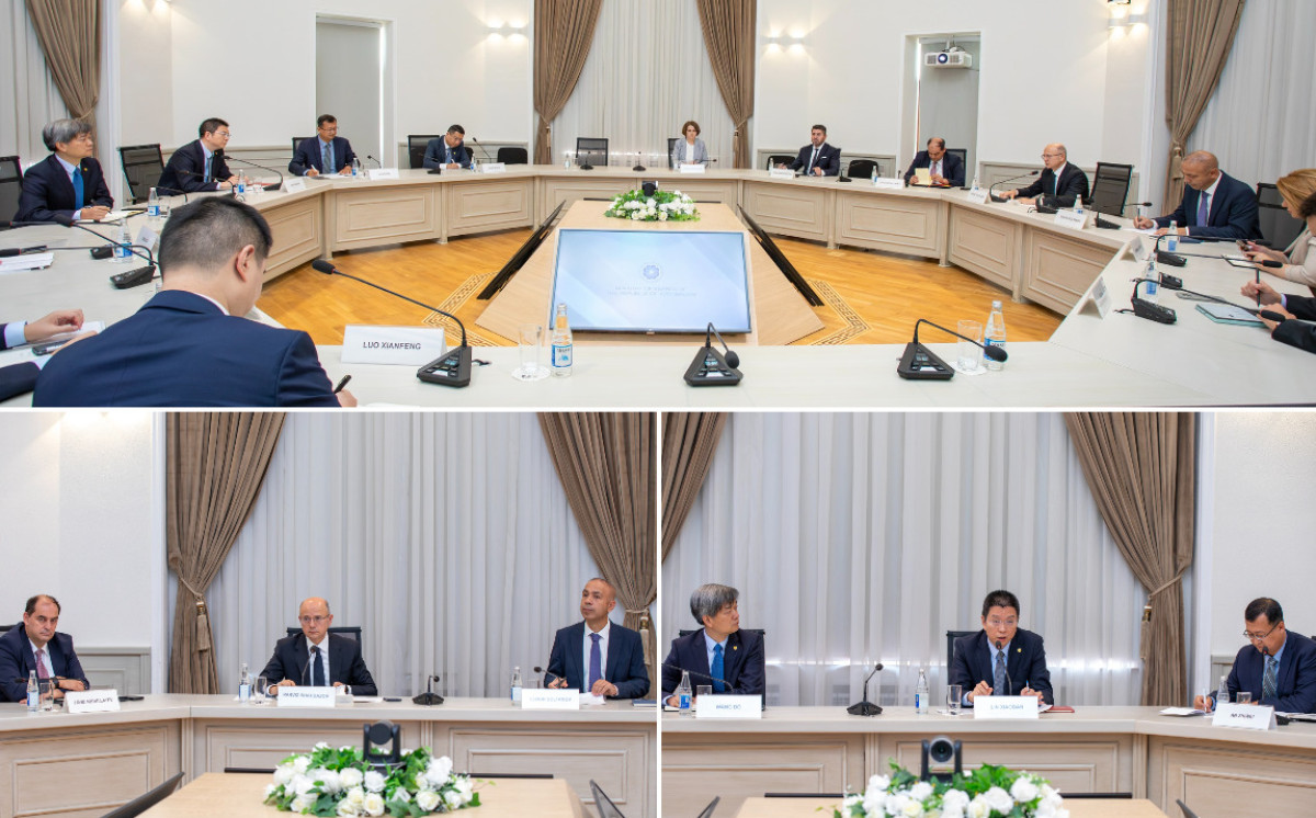 Green energy projects and grid study were discussed with China Energy 