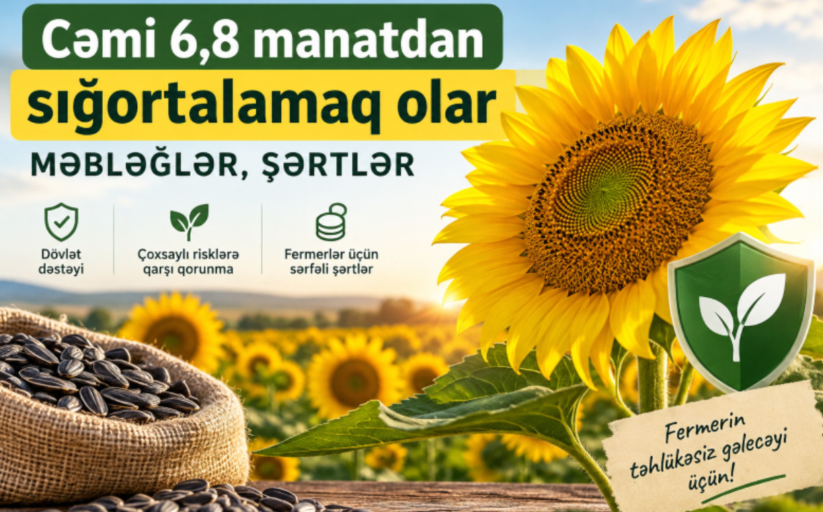 Günəbaxan sahəsinin sığortası fermerə neçəyə başa gəlir? - MƏBLƏĞLƏR