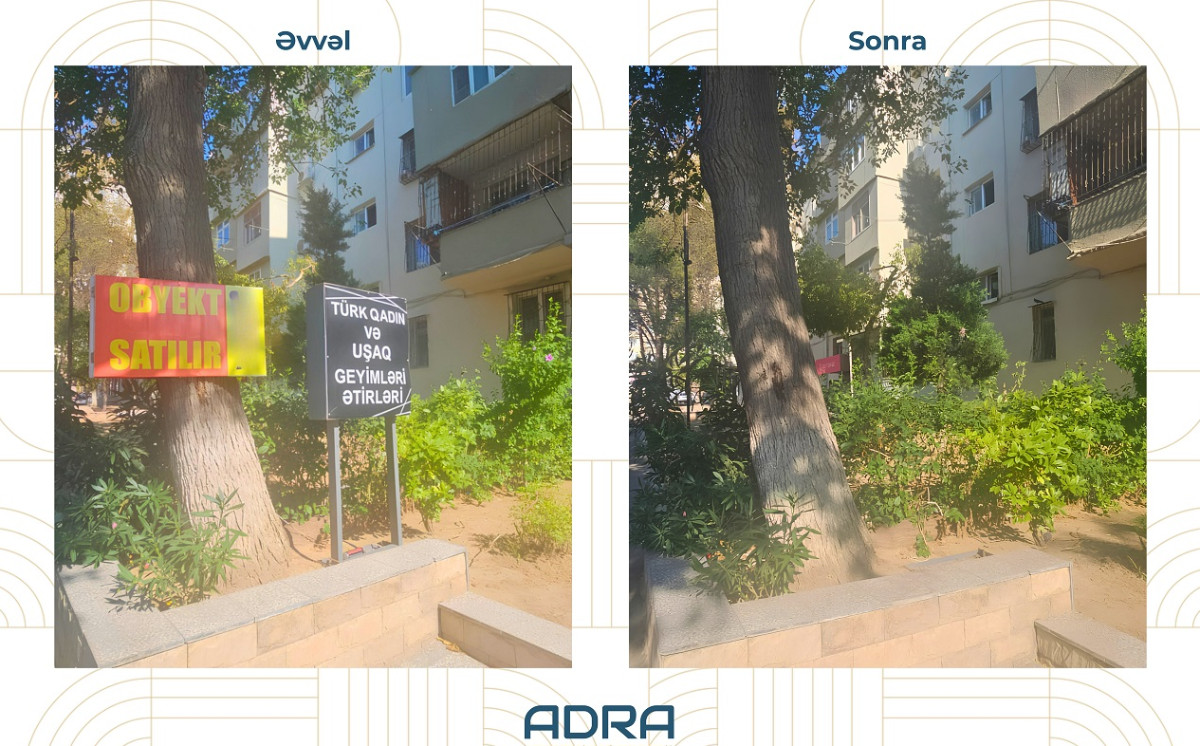 ADRA ağacların üzərinə vurulmuş yüzlərlə reklam qurğusunu demontaj edib 