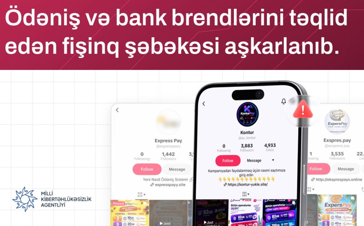 Ödəniş və bank brendlərini təqlid edən fişinq şəbəkəsi aşkarlanıb 