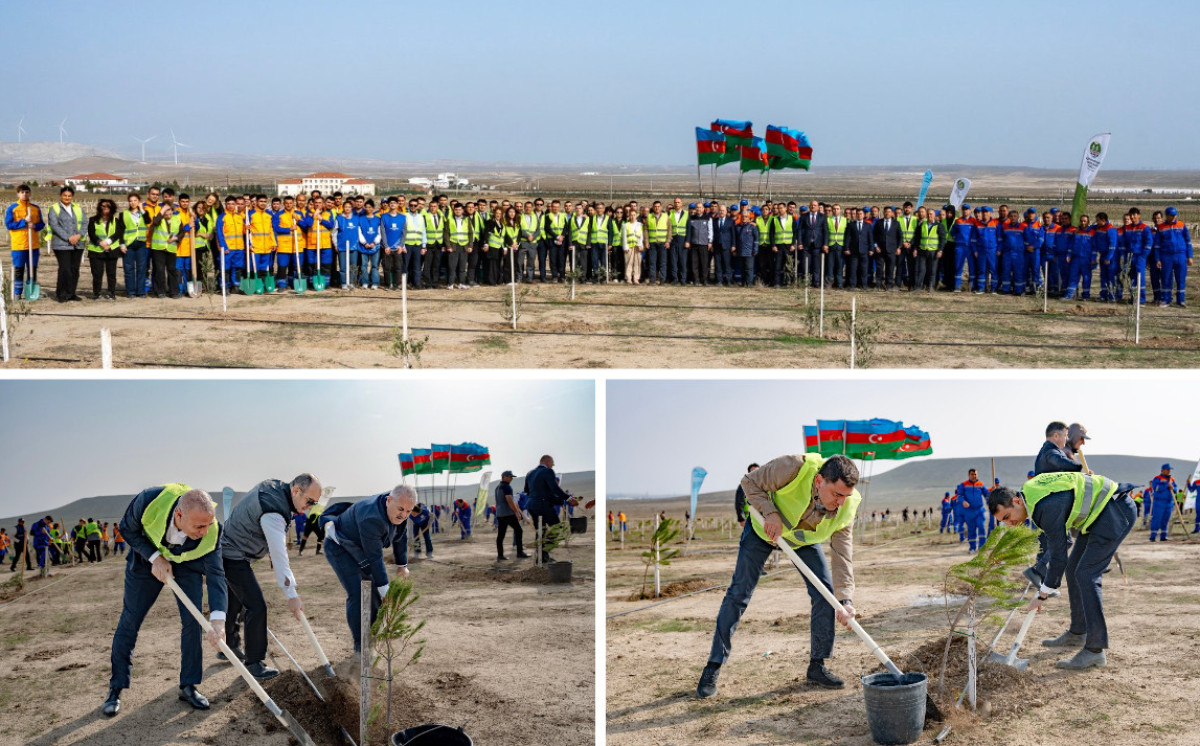 Energetika Nazirliyinin iştirakı ilə növbəti ağacəkmə aksiyası keçirilib 