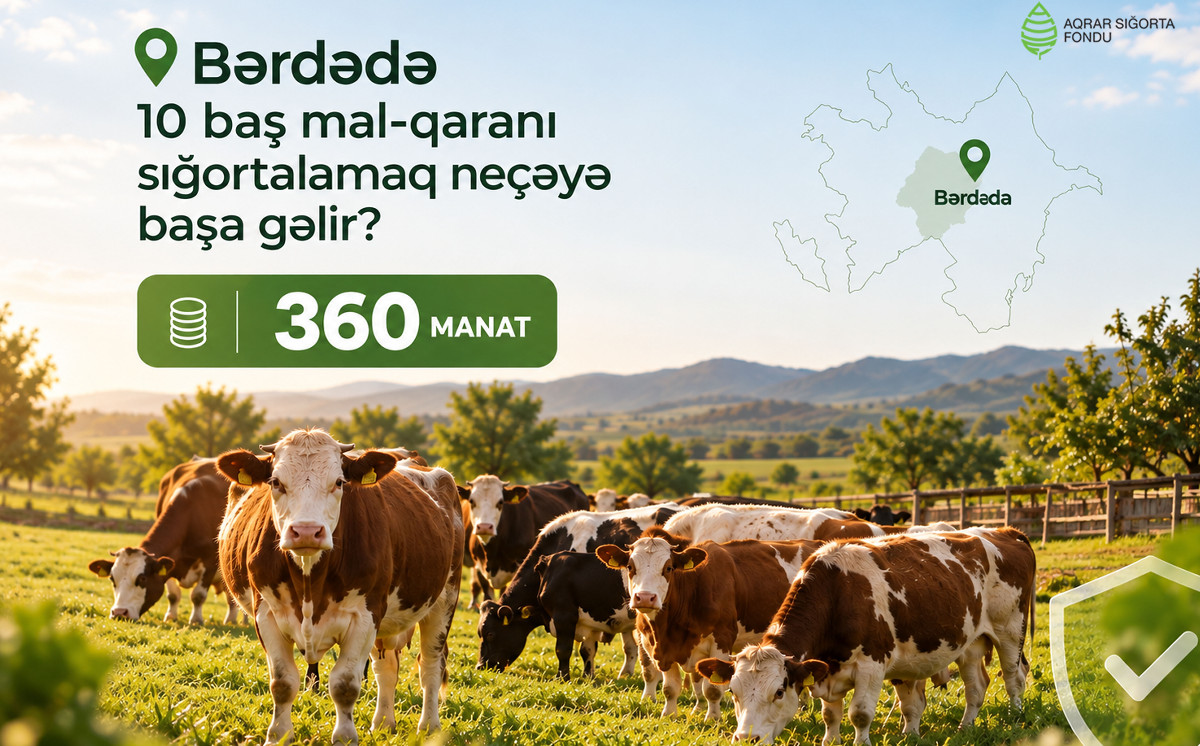 Bərdədə 10 baş iribuynuzlu heyvanı sığortalamaq 360 manata başa gəlir 