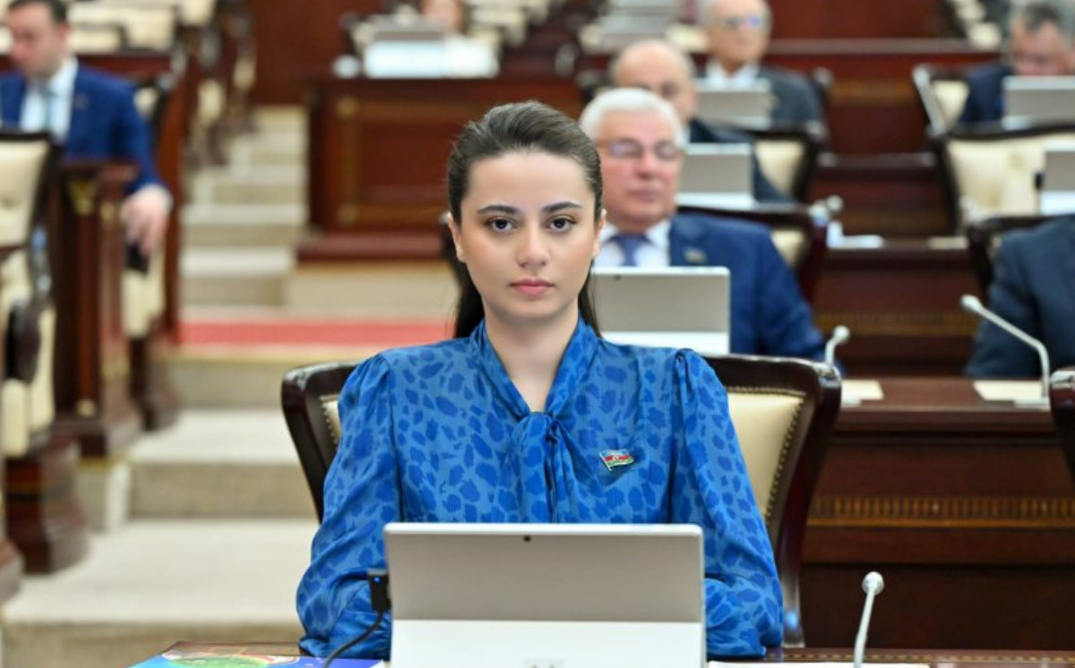 Çıxış Azərbaycan dövlətinin bəşəriliyinin təsdiqi kimi tarixləşdi 